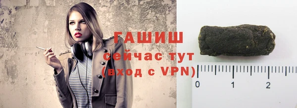 прущие грибы Гусев