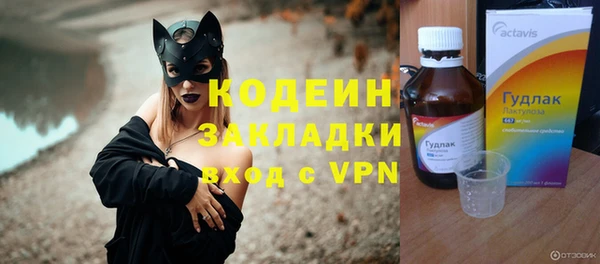 прущие грибы Гусев