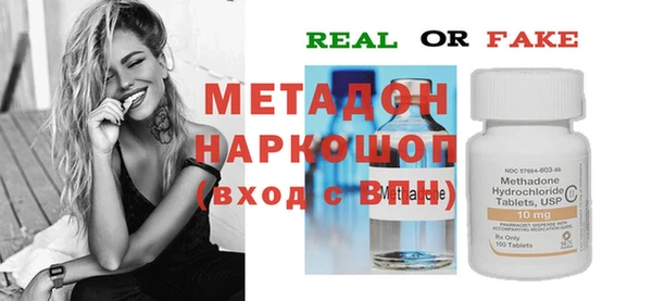 прущие грибы Гусев