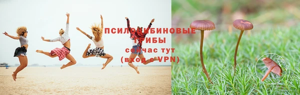 jwh Гусь-Хрустальный