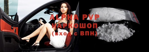 прущие грибы Гусев