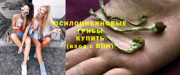 jwh Гусь-Хрустальный
