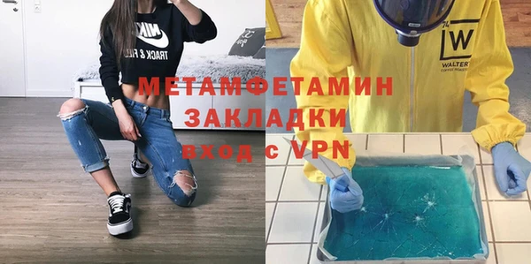 прущие грибы Гусев